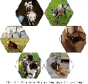 712Lg39JidL._AC_SL1500_.webp