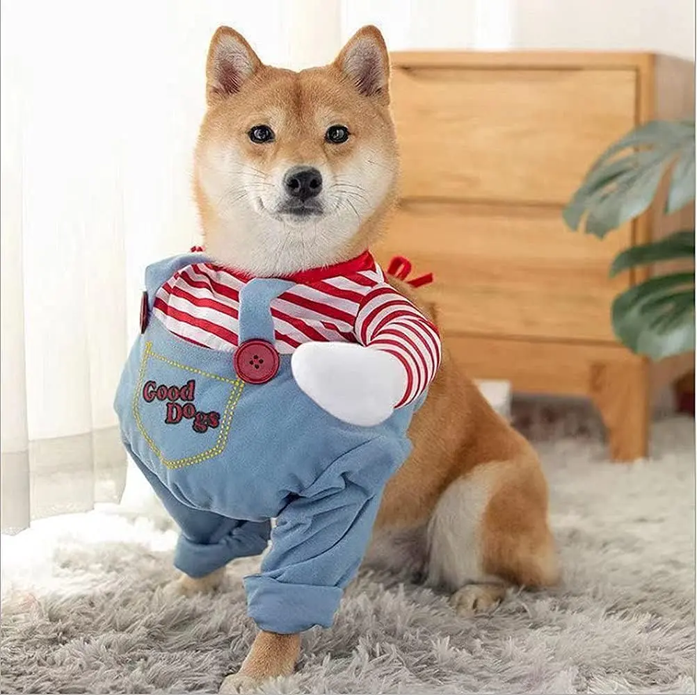 61Lt1Yqb3jL._AC_SL1002_.webp
