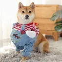 61Lt1Yqb3jL._AC_SL1002_.webp