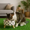 ChatGPT Image 1 dic 2025, 10_37_00 a.m..webp