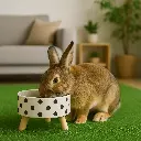 ChatGPT Image 1 dic 2025, 10_42_12 a.m..webp