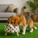 ChatGPT Image 1 dic 2025, 10_39_36 a.m..webp