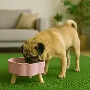 ChatGPT Image 1 dic 2025, 10_50_14 a.m..webp