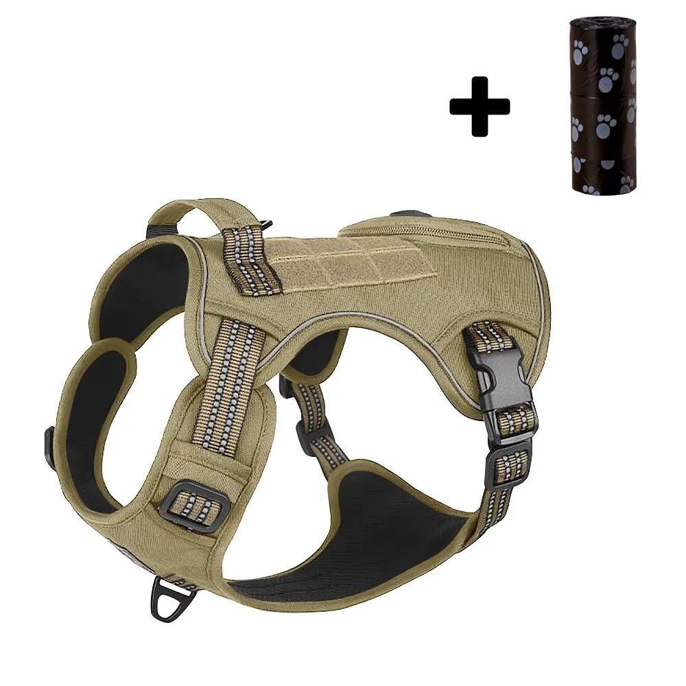 S9bd0f8f4e9d2446480b2b34ba95155a1n (1).webp