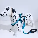 S021134a5f7f741f3bcdfef34e79cc1435.webp
