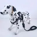 S4d30c9d2b17f4aa08834fd5f1af86c43E.webp
