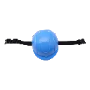 nakanpets_CASCO4_png.webp