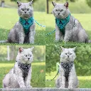 Sa080b7460cf94a8db84f30cc2dbedbc3H.webp