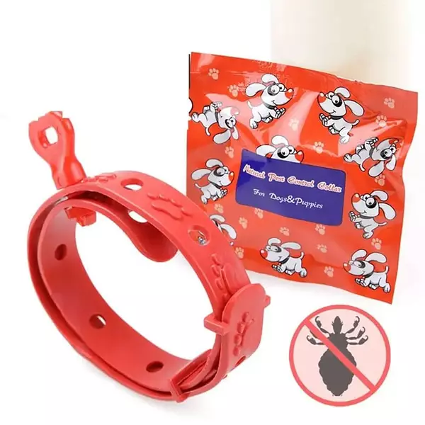 COLLAR ANTI PULGAS - PERRO