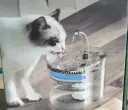 FUENTE DE AGUA 2 L.