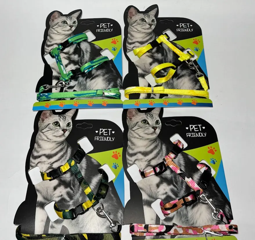 PECHERA GATO