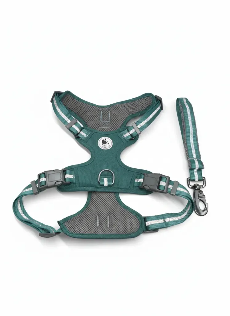 PECHERA DE LUJO COMPLETA