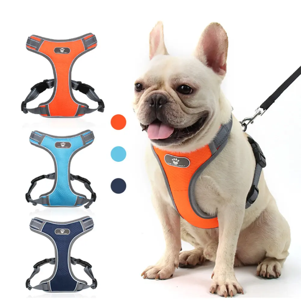 ARNES MASCOTAS - TALLA S (33*48)