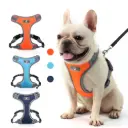 ARNES MASCOTAS - TALLA S (33*48)