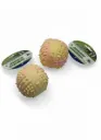 PELOTA ESPINADA DURA -6,5 CMTS