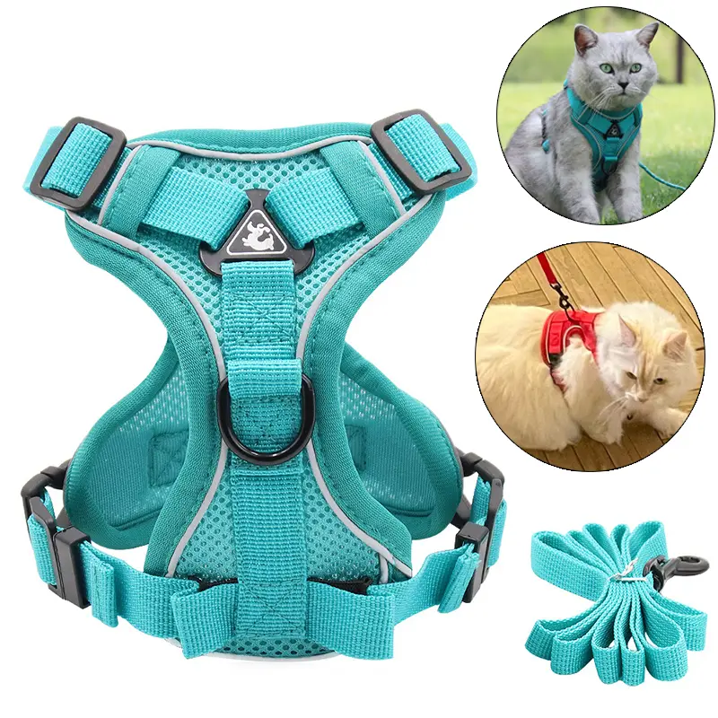 ARNES COMPLETO PEQUEÑO (23*41)