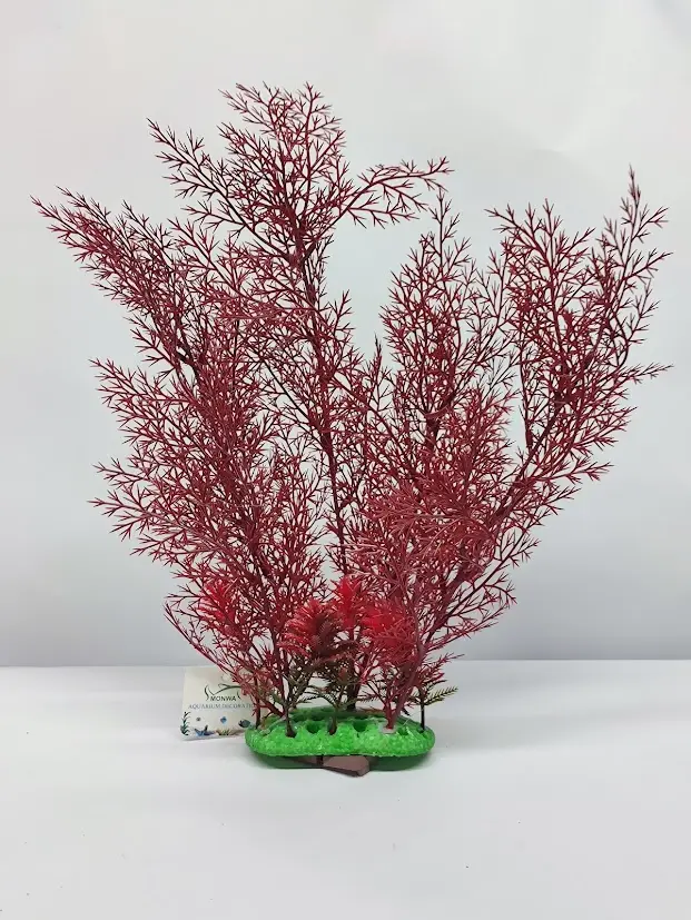 PLANTA DE ACUARIO - HELECHO