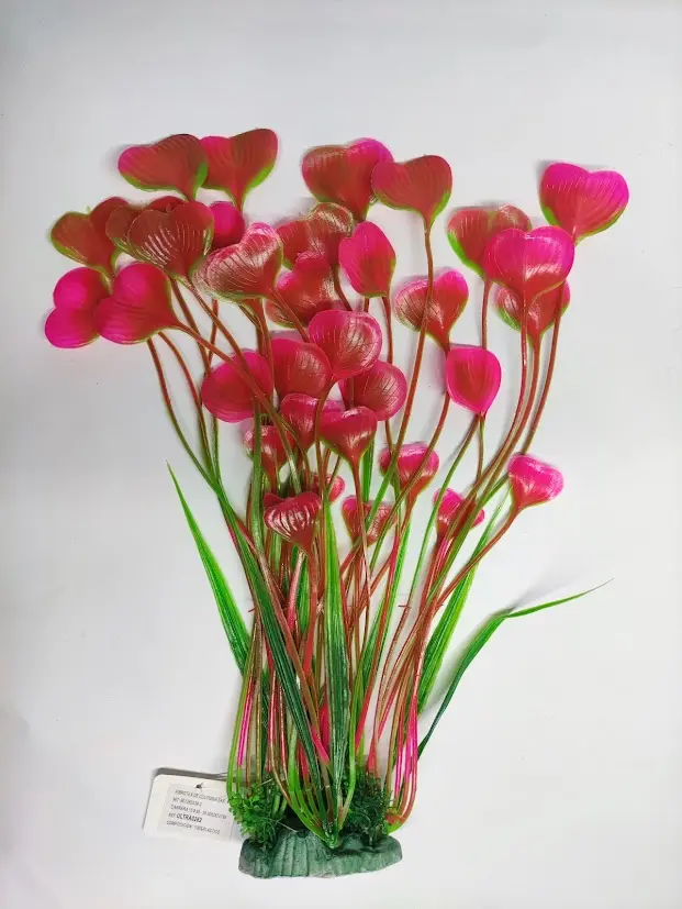 PLANTA DE ACUARIO - HIERBA ACUATICA