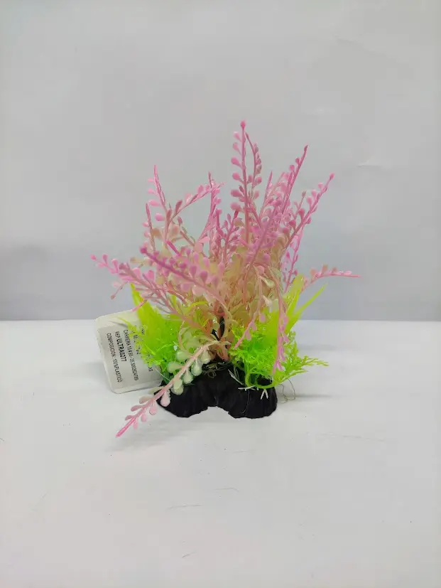 PLANTA DE ACUARIO - HELECHO(PEQUEÑO)
