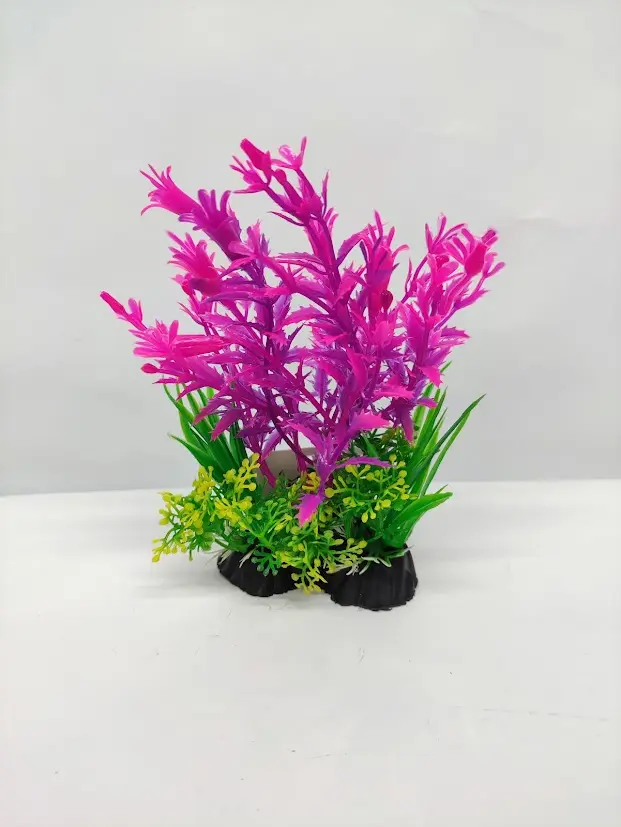 PLANTA DE ACUARIO - HELECHO COLORES (PEQUEÑO)
