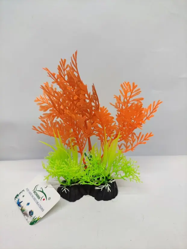 PLANTA DE ACUARIO - HELECHO NEON(PEQUEÑO)