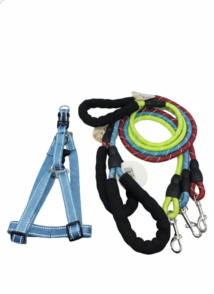 ARNES COMPLETO - 1.0"