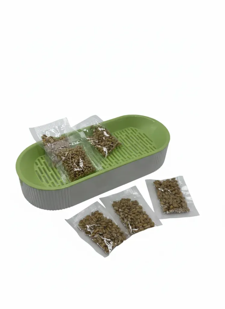 [OME-0331] PLANTA DE CATNIP