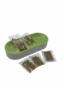 PLANTA DE CATNIP