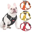 ARNES MASCOTAS - TALLA M