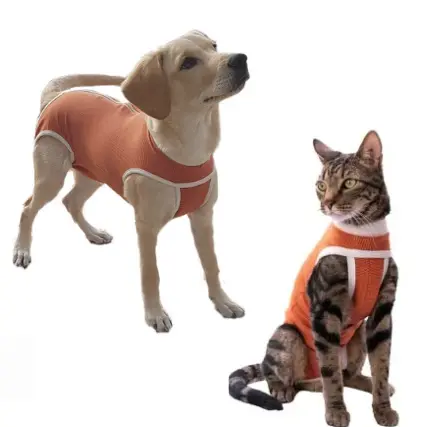 [OME-230] FAJA POST OPERATORIA - XS