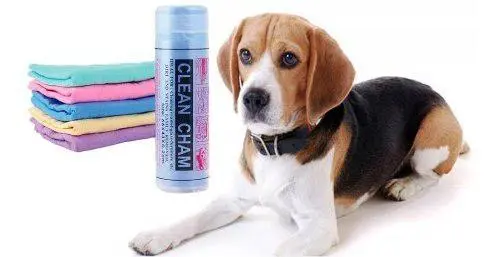 [AC-111] CANEO TOALLA - PEQUEÑA - (43*32)