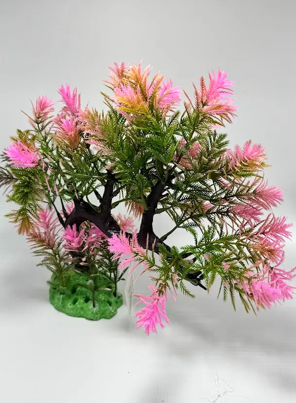 PLANTA DE ACUARIO