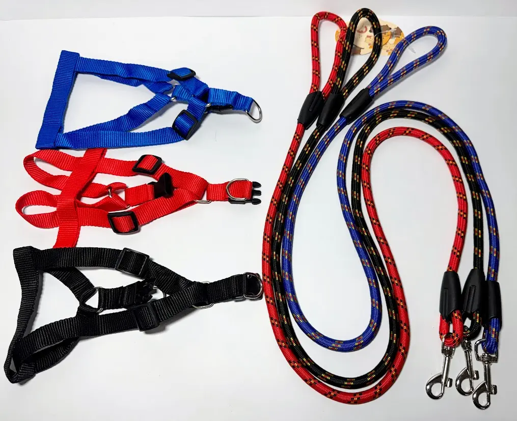 ARNES COMPLETO 1"
