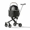 COCHE CON MOISES DESMONTABLE