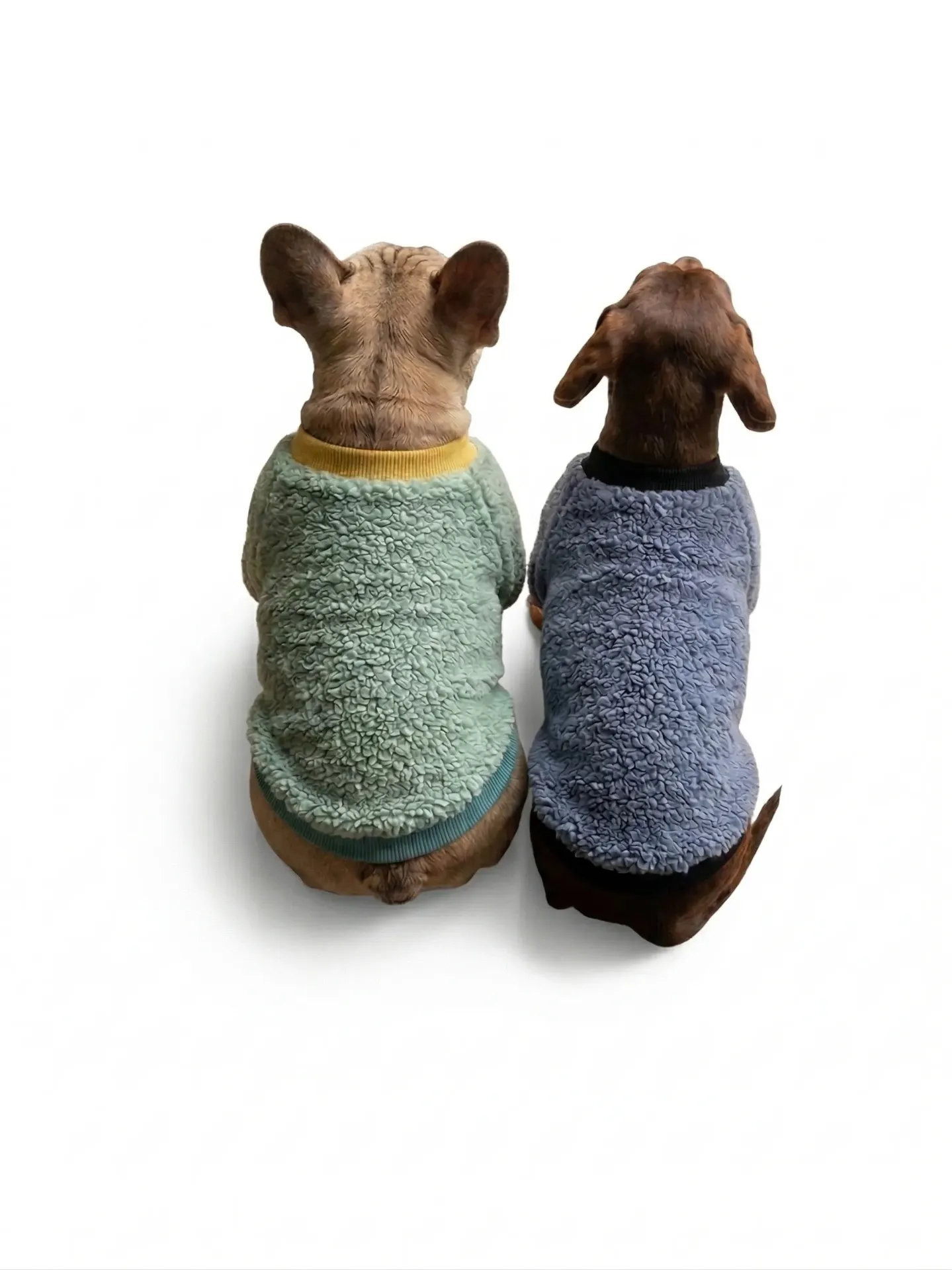 [PW-8117] BUZO PELUDO MASCOTAS