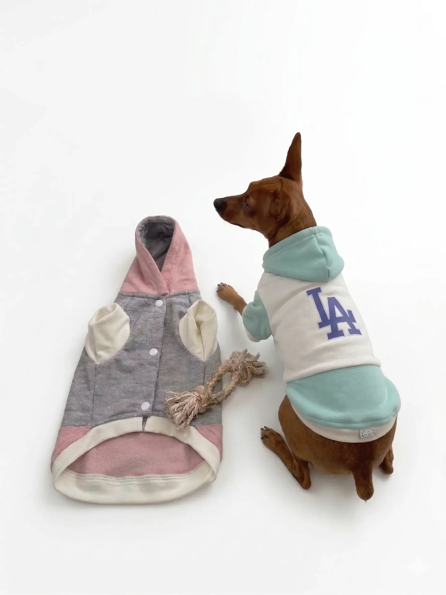 [OME-243] BUZO CAPOTA - TALLA L