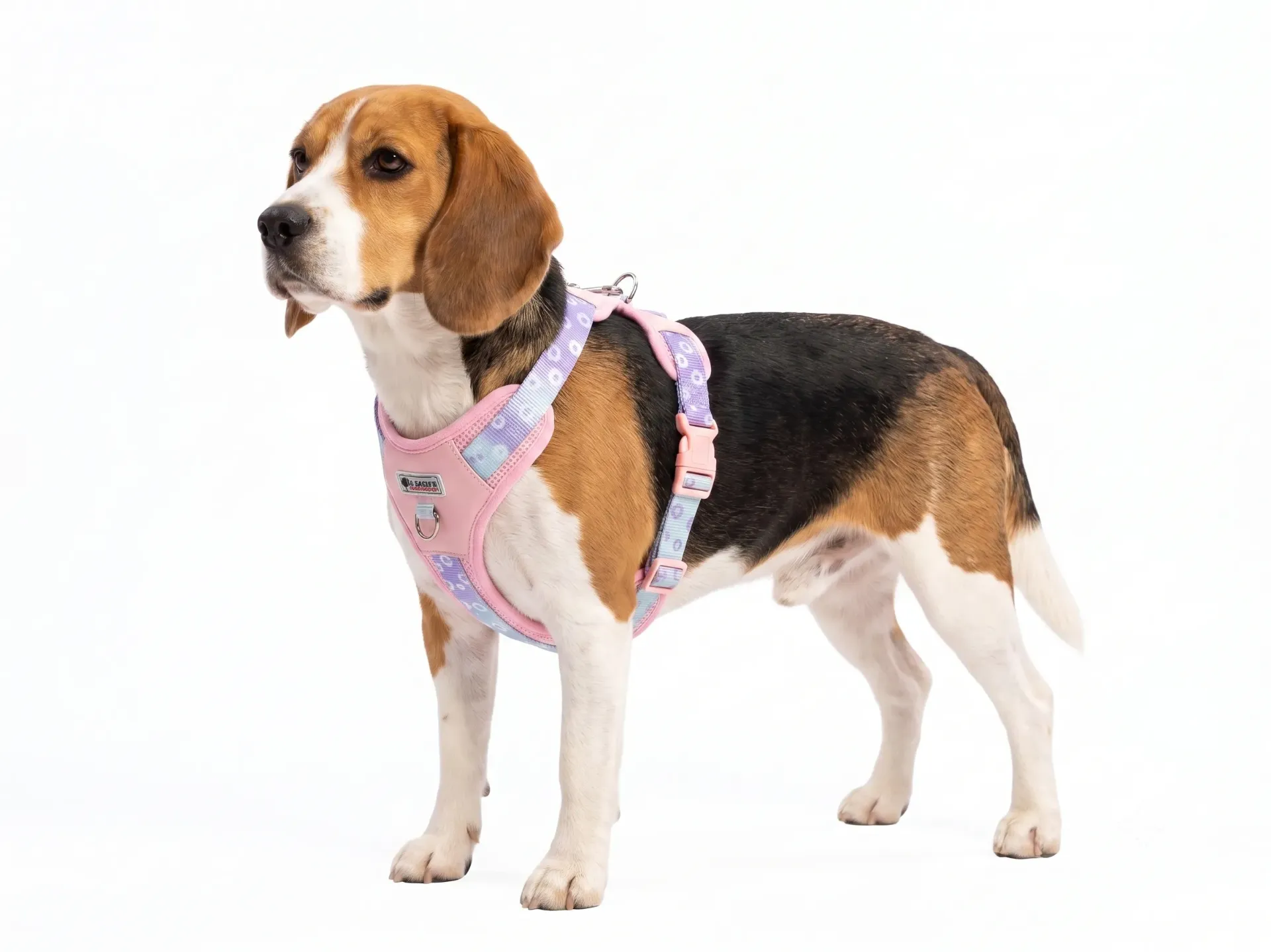 [OME-0671] PECHERA MASCOTAS - TALLA M