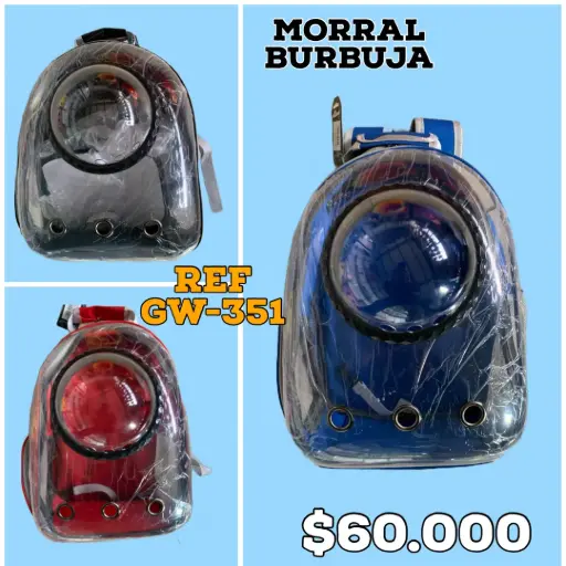[GW-351] ASTRO PET TRANSPARENTE - CAPSULA